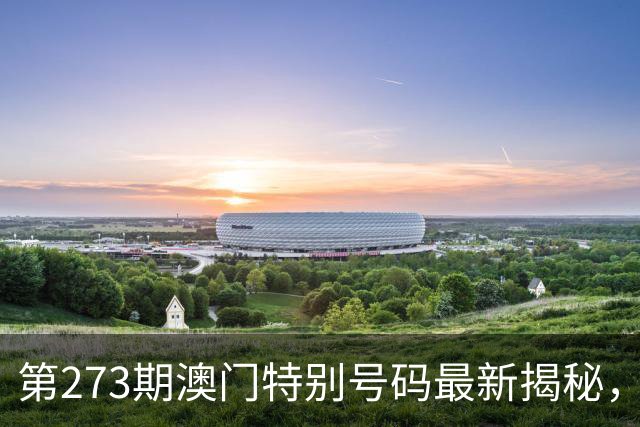 第273期澳门特别号码最新揭秘，今晚六合彩最新开奖料揭秘